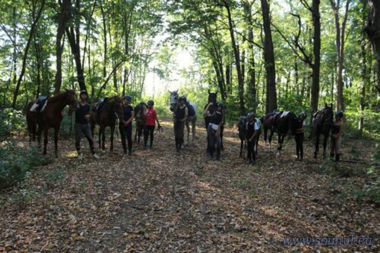 Plimbări Călare în Pădurea Scroviștea – Weekend (Vineri–Duminică)