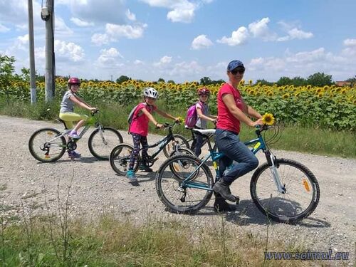 Închiriere Biciclete București – City, MTB, Șosea, Pliabile & Electrice