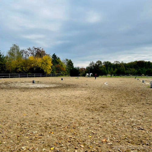 Pensiune Cai Snagov – Arkadia Horse Club | Boxe & Îngrijire Profesională