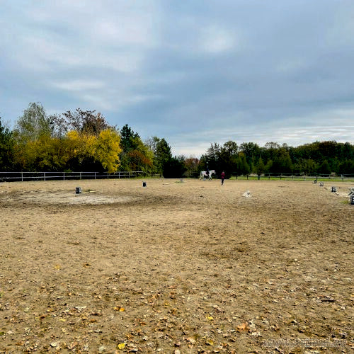 Club Ecvestru Arkadia – Snagov | Echitație & Turism Ecvestru Ilfov