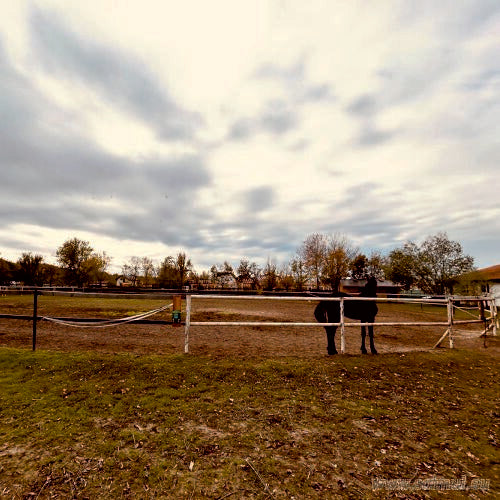 Club Ecvestru Arkadia – Snagov | Echitație & Turism Ecvestru Ilfov